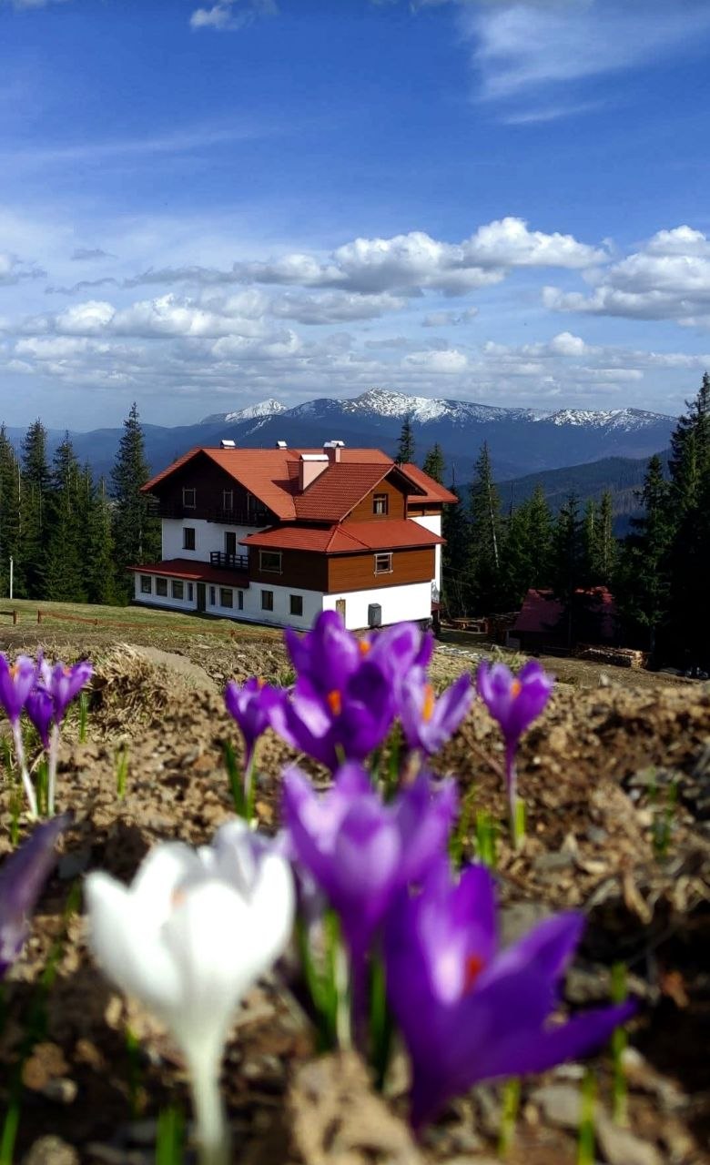 Фототур по Драгобрату — мальовничі панорами Карпат